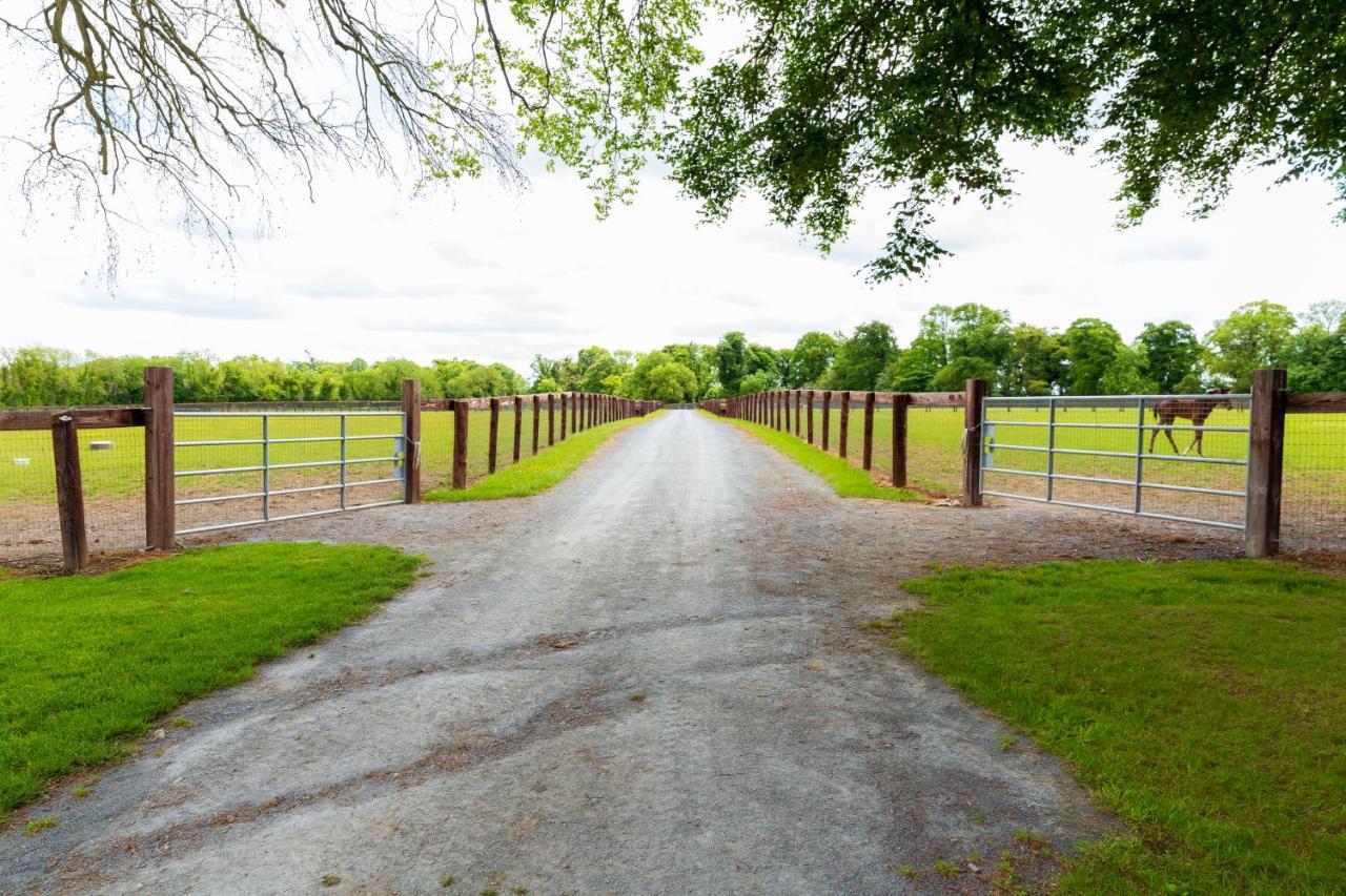 Bective Stud Apartments Navan Bagian luar foto