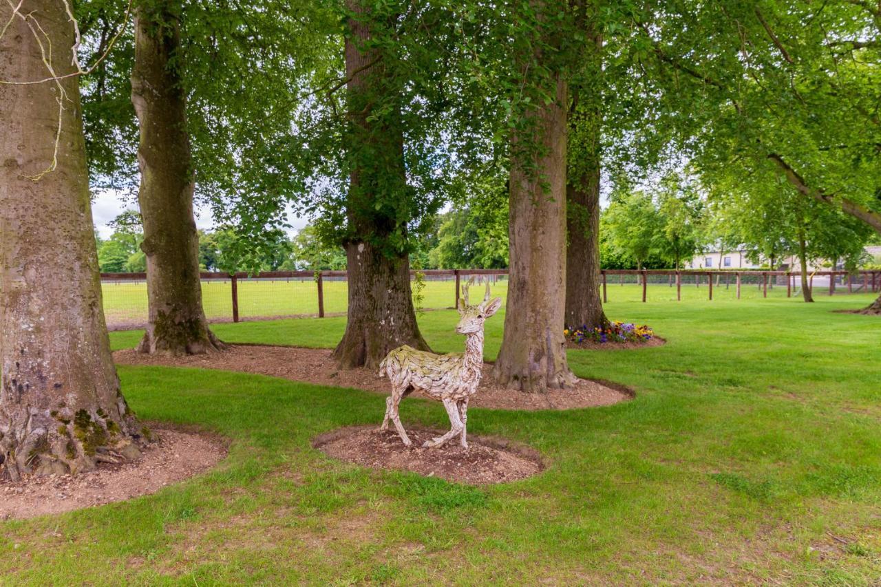 Bective Stud Apartments Navan Bagian luar foto