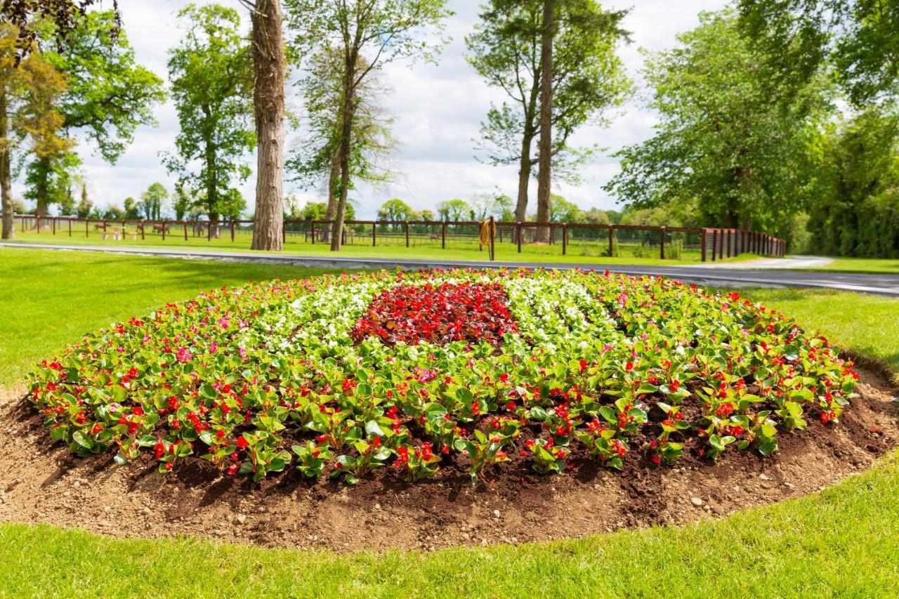 Bective Stud Apartments Navan Bagian luar foto